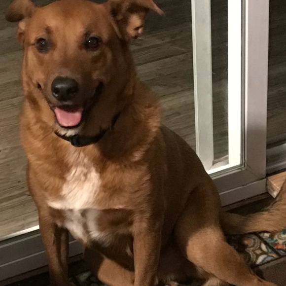 💕💕LIVE SHOW UNLISTED ITEMS💕💕 - Picture 11 of 12